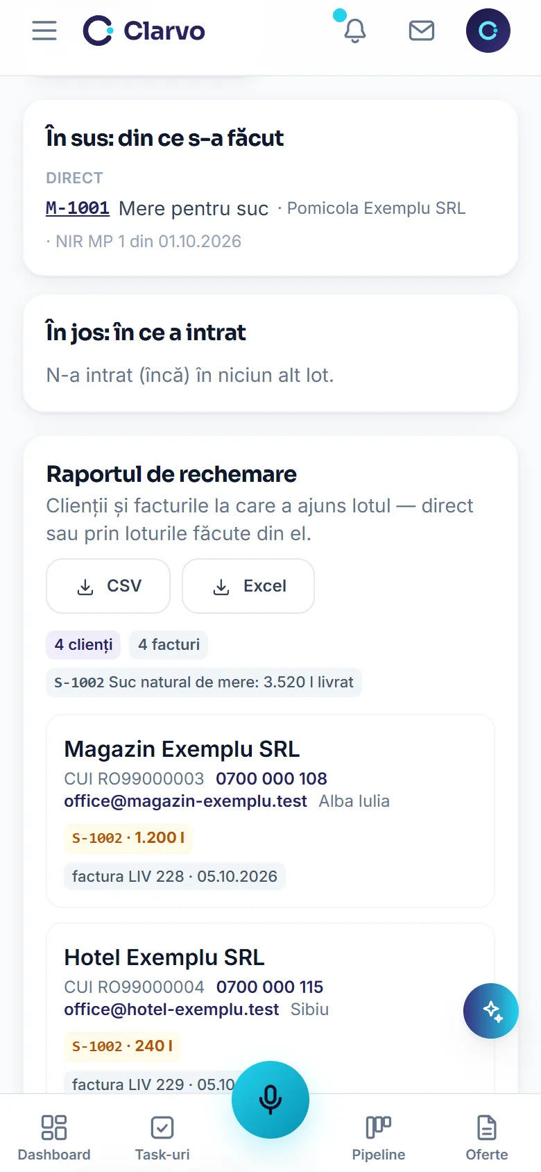 Clarvo ERP pe telefon — fișa lotului